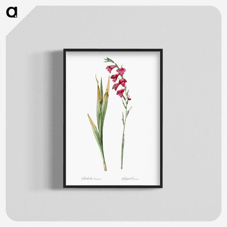 1-85_The-Lilies_blk-crop