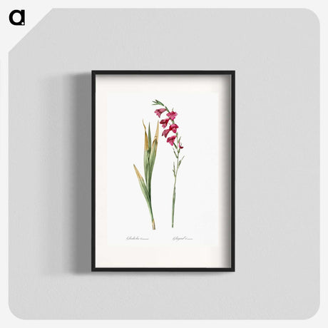 1-85_The-Lilies_blk