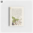 アートメモ帳-Blackberry and Nottingham Catchfly
 - 書道のお手本 Memo.