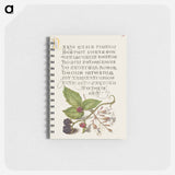アートメモ帳-Blackberry and Nottingham Catchfly
 - 書道のお手本 Memo.