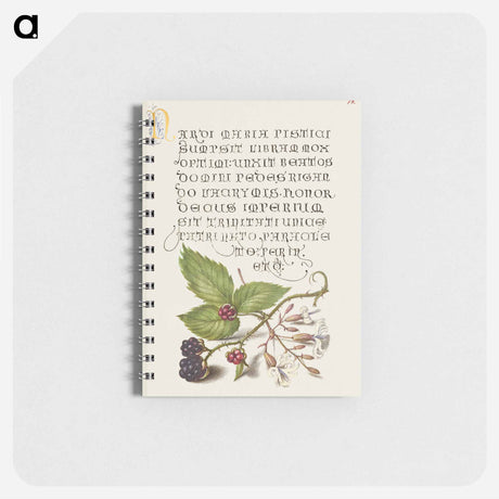 アートメモ帳-Blackberry and Nottingham Catchfly
 - 書道のお手本 Memo.