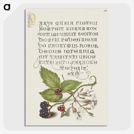 1-85_The-Model-Book-of-Calligraphy_picture-crop