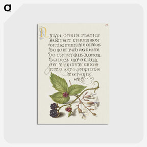 1-85_The-Model-Book-of-Calligraphy_postcard
