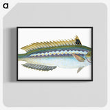 1-85_The-Natural-History-of-British-Fishes_blk-crop