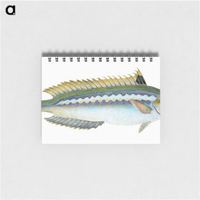 1-85_The-Natural-History-of-British-Fishes_memo