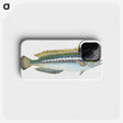 1-85_The-Natural-History-of-British-Fishes_phone