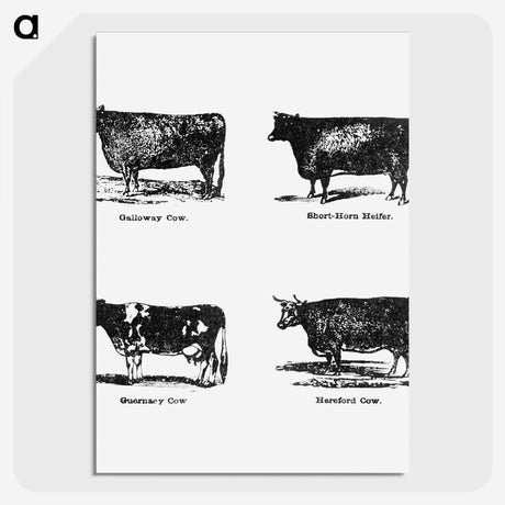 1-85_The-Open-Door-to-Independence_picture-crop