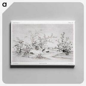 1-85_The-Ornamental-Arts-of-Japan_canvas