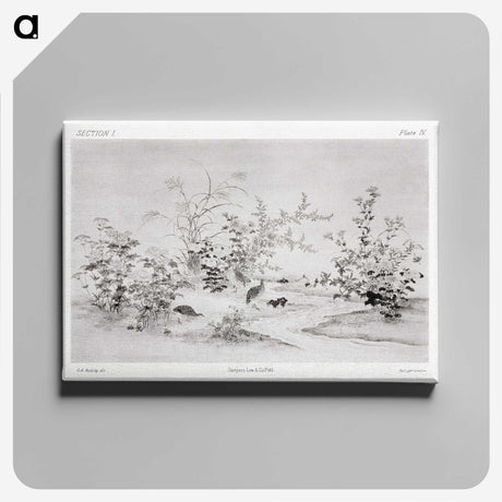 1-85_The-Ornamental-Arts-of-Japan_canvas