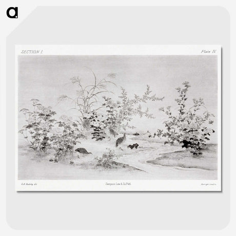 1-85_The-Ornamental-Arts-of-Japan_picture-crop