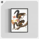 1-85_The-Viviparous-Quadrupeds_blk-crop