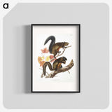 1-85_The-Viviparous-Quadrupeds_blk
