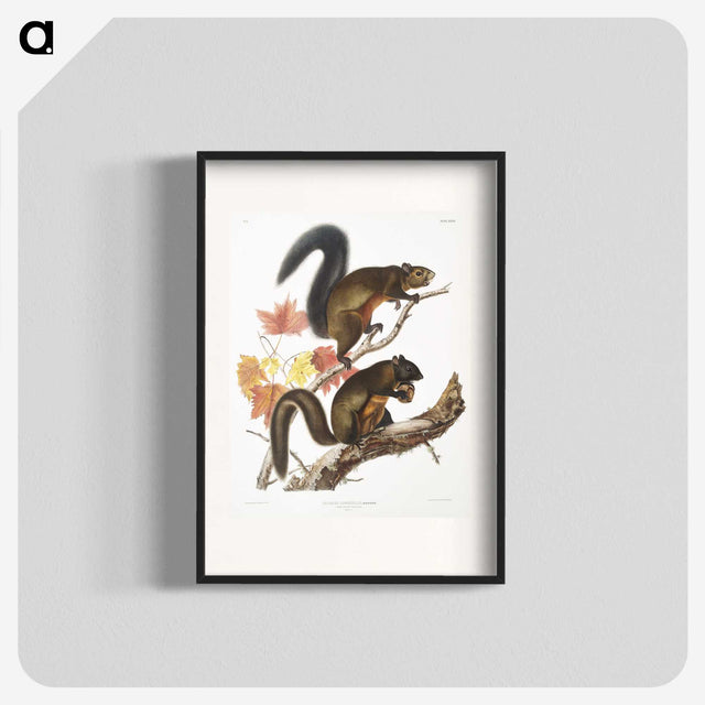 1-85_The-Viviparous-Quadrupeds_blk