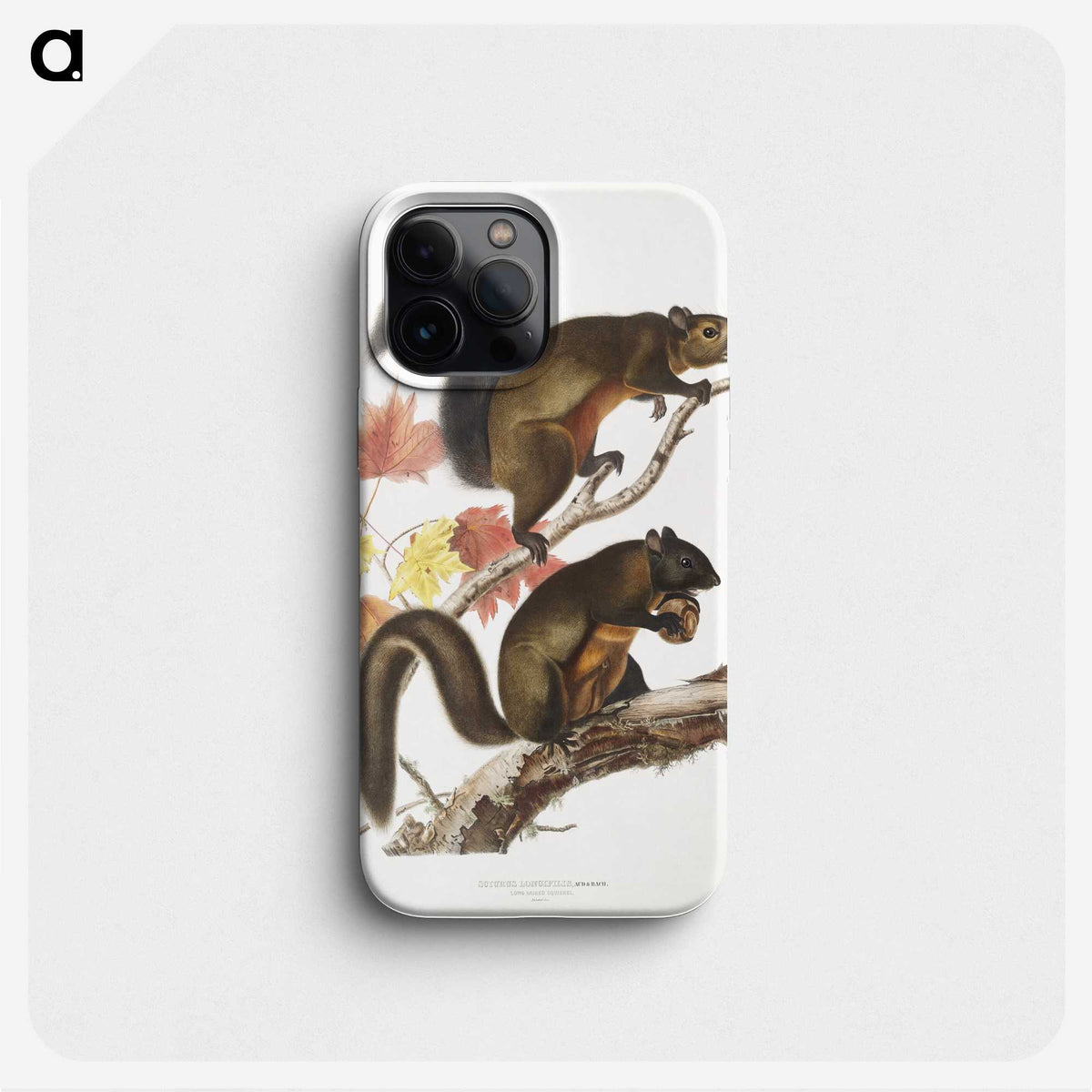 1-85_The-Viviparous-Quadrupeds_phone