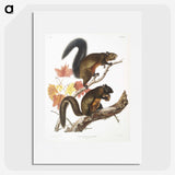1-85_The-Viviparous-Quadrupeds_picture
