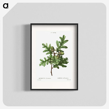 1-85_Treatise-on-Trees-and-Shrubs_blk