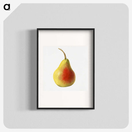 1-85_USDA-Watercolor-Fruit-Painting-Collection_blk
