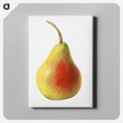 1-85_USDA-Watercolor-Fruit-Painting-Collection_canvas