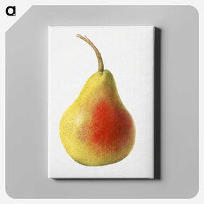 1-85_USDA-Watercolor-Fruit-Painting-Collection_canvas