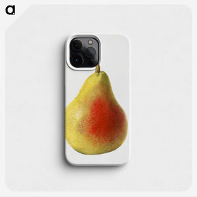 1-85_USDA-Watercolor-Fruit-Painting-Collection_phone