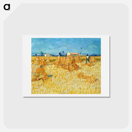 プロヴァンスの収穫 - フィンセント ファン ゴッホ Postcard.