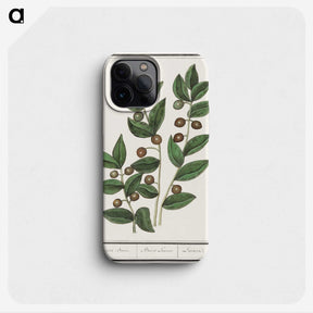 1-86_Anselmus-Boetius-de-Boodt_phone