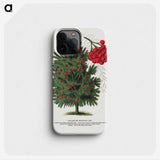 1-86_Botanical-Specimen-Plates_phone