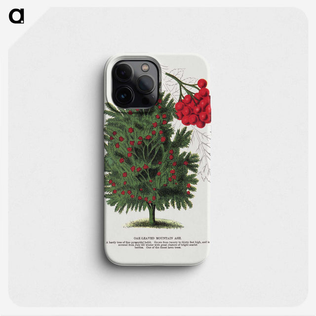 1-86_Botanical-Specimen-Plates_phone