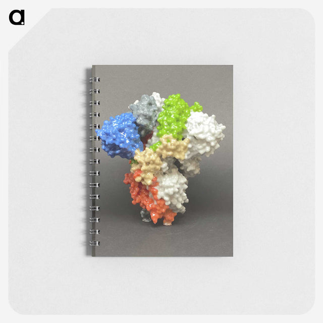 1-86_COVID-19_memo