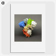 1-86_COVID-19_picture