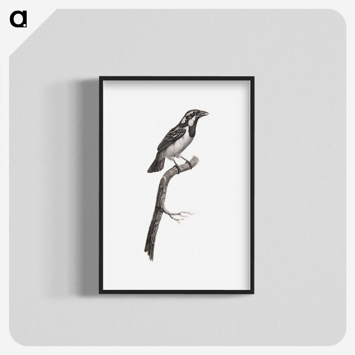 1-86_Des-Oiseaux-de-Paradis_blk-crop