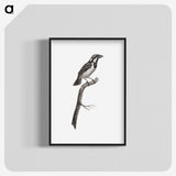 1-86_Des-Oiseaux-de-Paradis_blk-crop