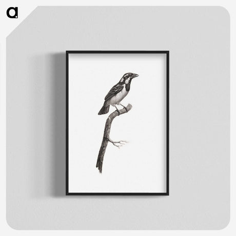 1-86_Des-Oiseaux-de-Paradis_blk-crop
