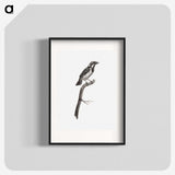1-86_Des-Oiseaux-de-Paradis_blk