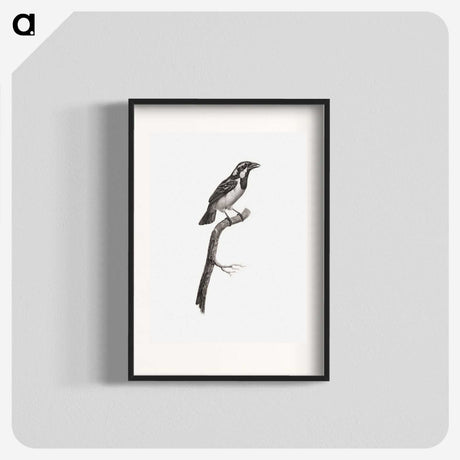 1-86_Des-Oiseaux-de-Paradis_blk