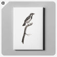 1-86_Des-Oiseaux-de-Paradis_canvas