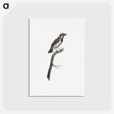 1-86_Des-Oiseaux-de-Paradis_hagaki