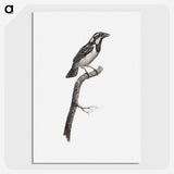 1-86_Des-Oiseaux-de-Paradis_picture-crop