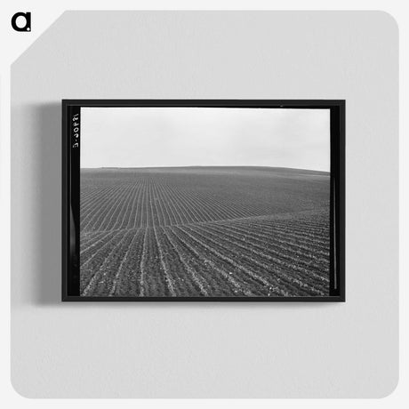 1-86_Dorothea-Lange_blk-crop