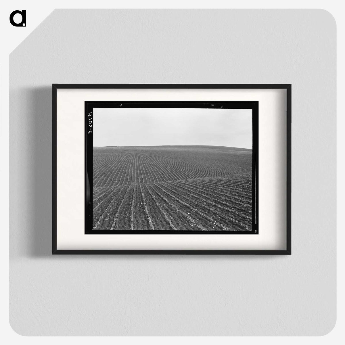 1-86_Dorothea-Lange_blk