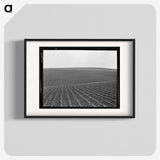 1-86_Dorothea-Lange_blk
