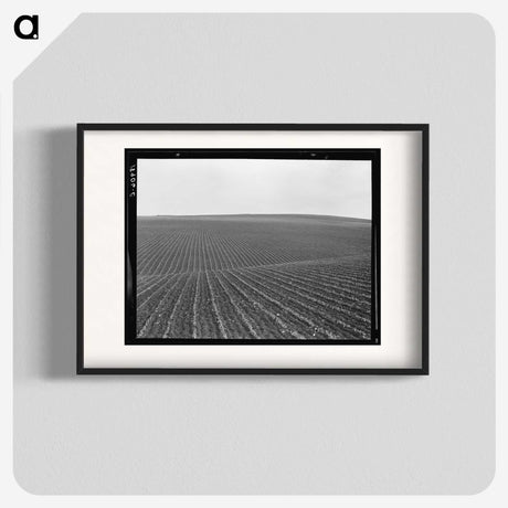 1-86_Dorothea-Lange_blk