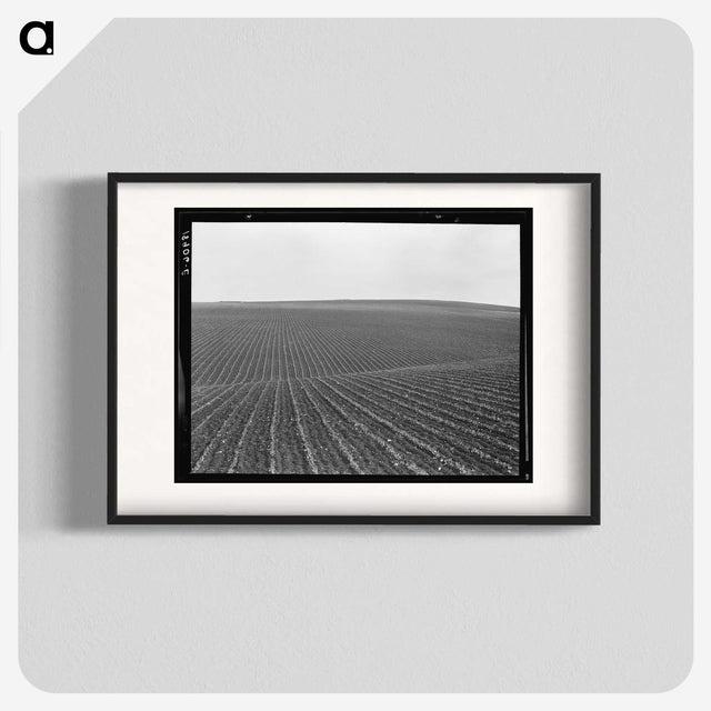 1-86_Dorothea-Lange_blk