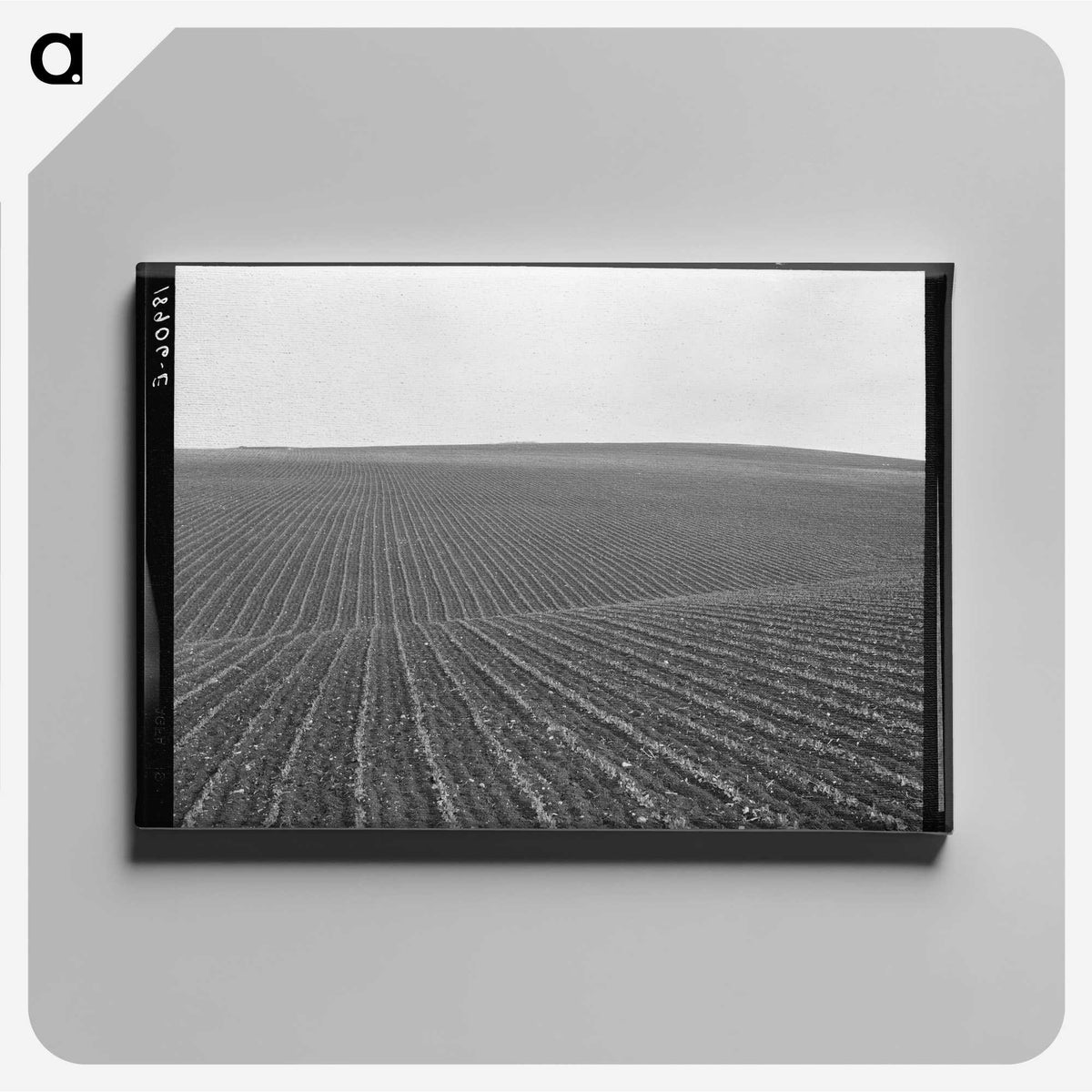 1-86_Dorothea-Lange_canvas