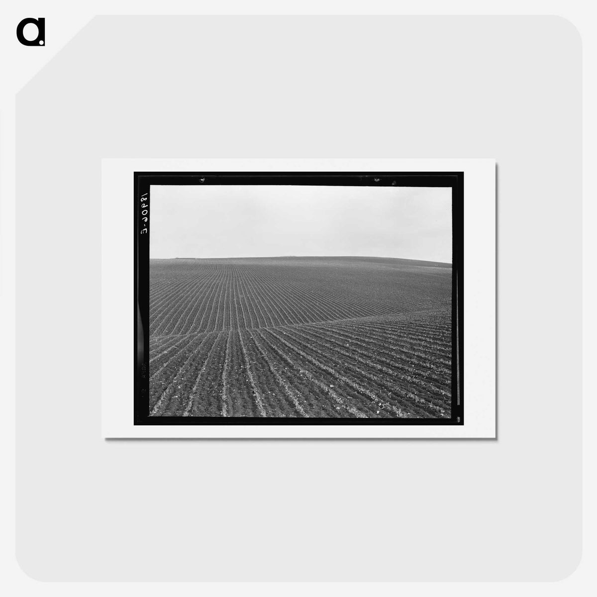1-86_Dorothea-Lange_hagaki