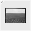 1-86_Dorothea-Lange_postcard