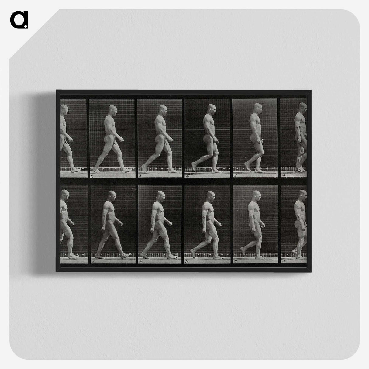 1-86_Eadweard-Muybridge_blk-crop