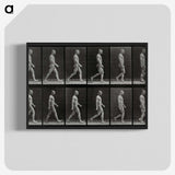 1-86_Eadweard-Muybridge_blk-crop
