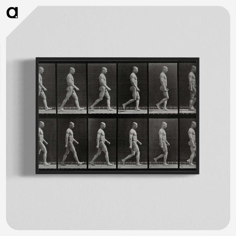 1-86_Eadweard-Muybridge_blk-crop