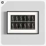 1-86_Eadweard-Muybridge_blk